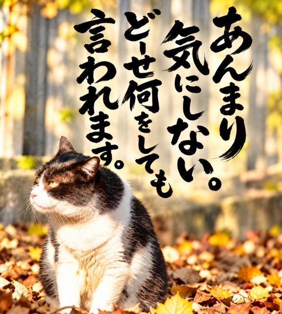 17時のアナタ様