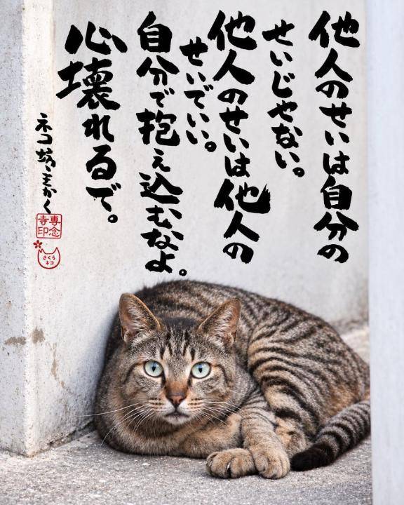 今宵も