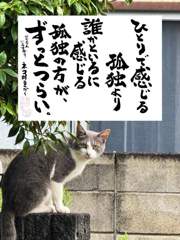 昨夜の21時30分からのアナタ様