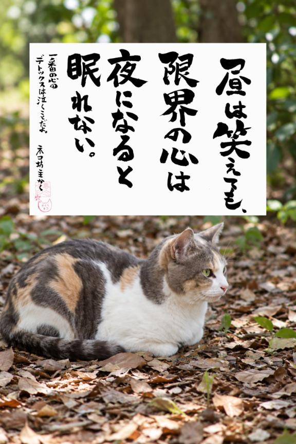18時過ぎのアナタ様