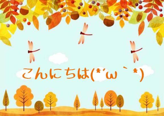 今週の出勤予定です✨