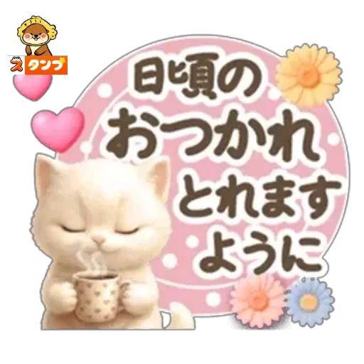 こんにちは🌺