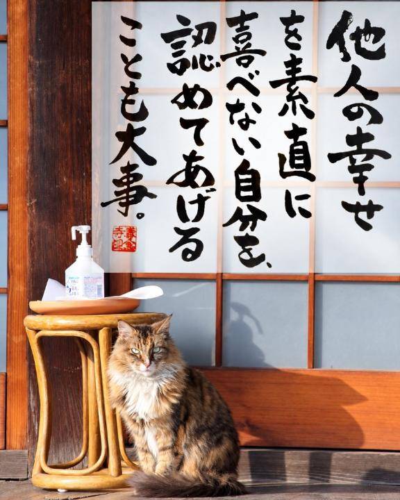 今宵も