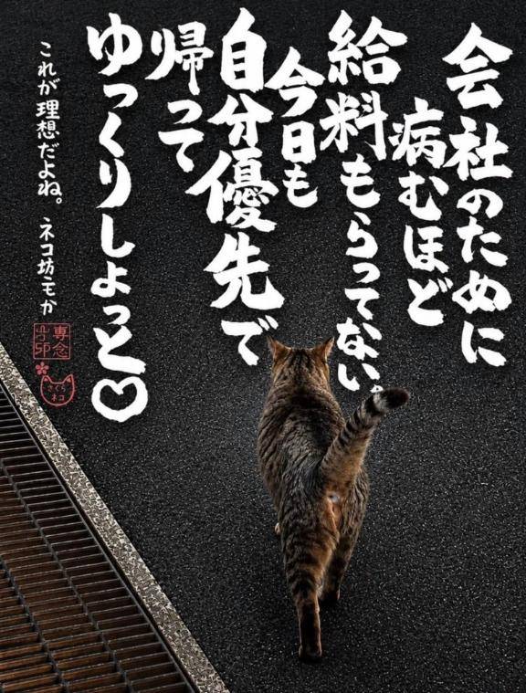 21時20分からのアナタ様
