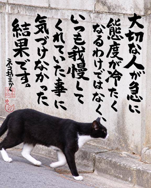 今日は
