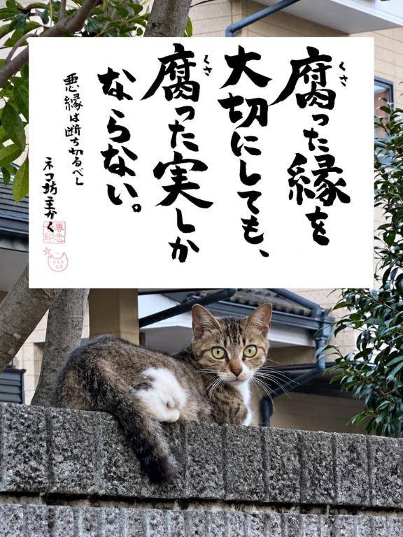今夜も