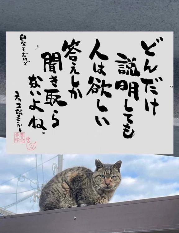 20時からのアナタ様