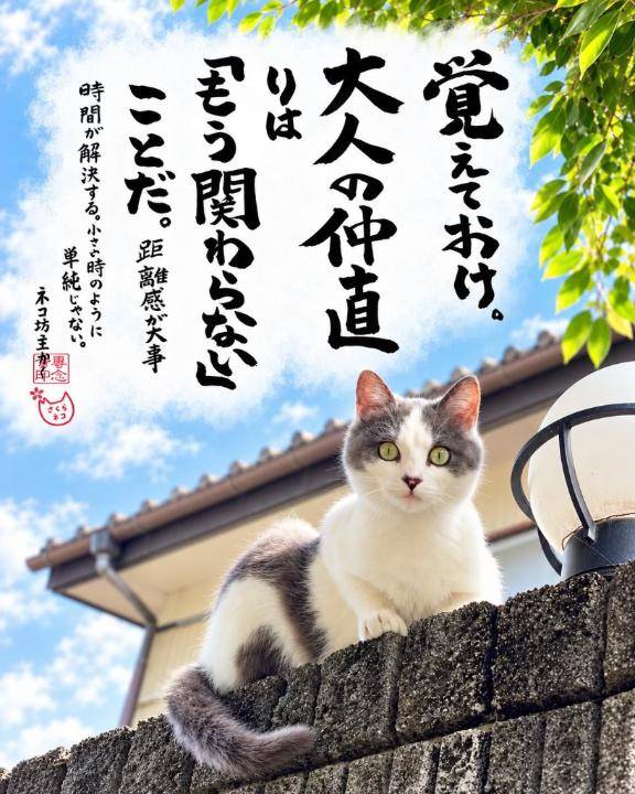 おやすみなさい