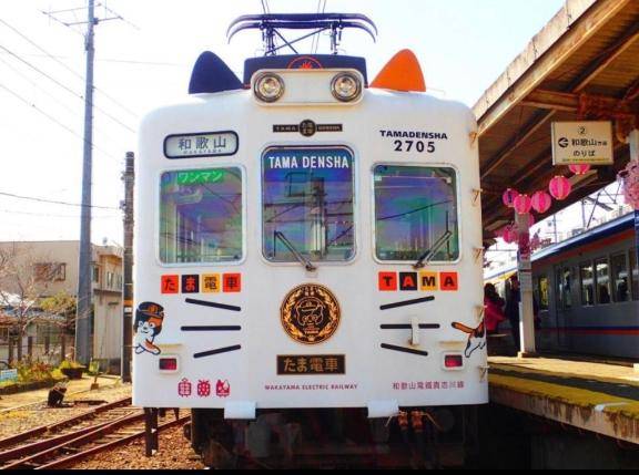 たま電車🚃
