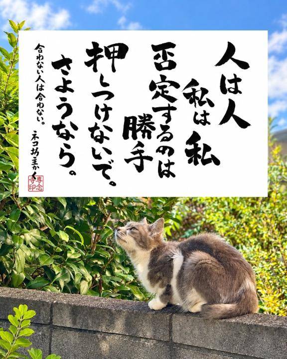 おやすみなさい