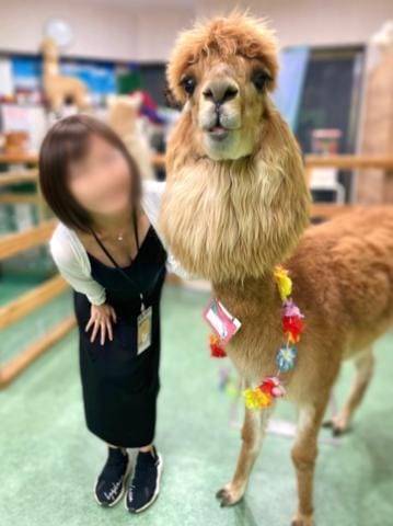 先程はありがとうございました💜