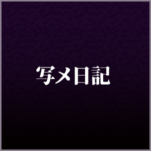 写メ日記
