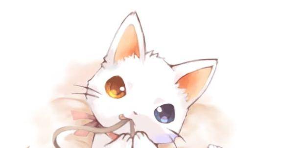?(?????)?