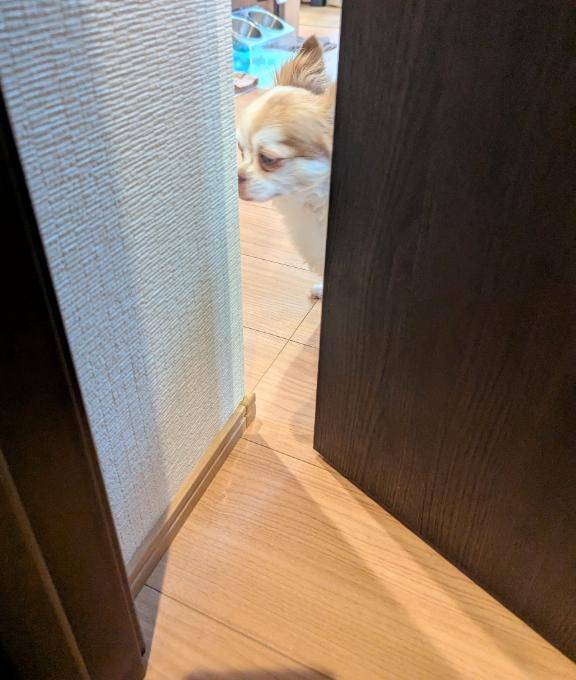ハァハァ?