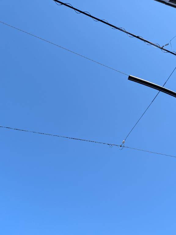 青空の下、キミのとなり