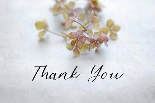 お礼?.･*’’*･.?