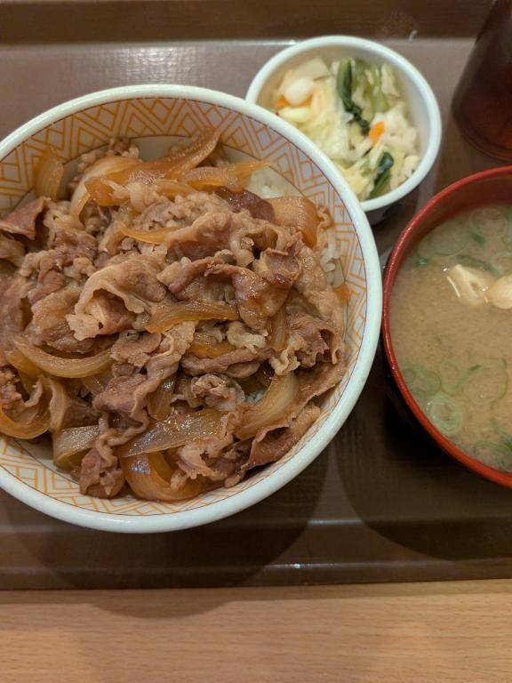 すき家の牛丼