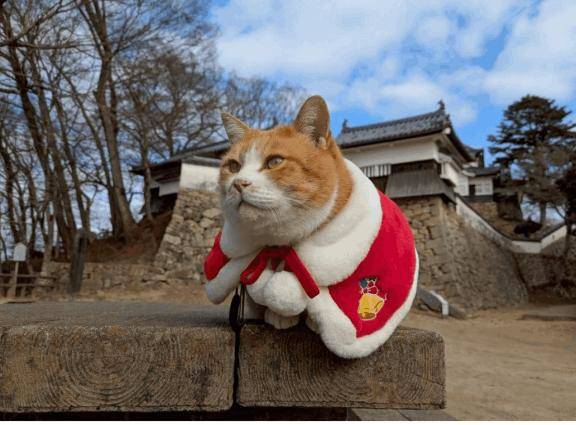 さんじゅーろー