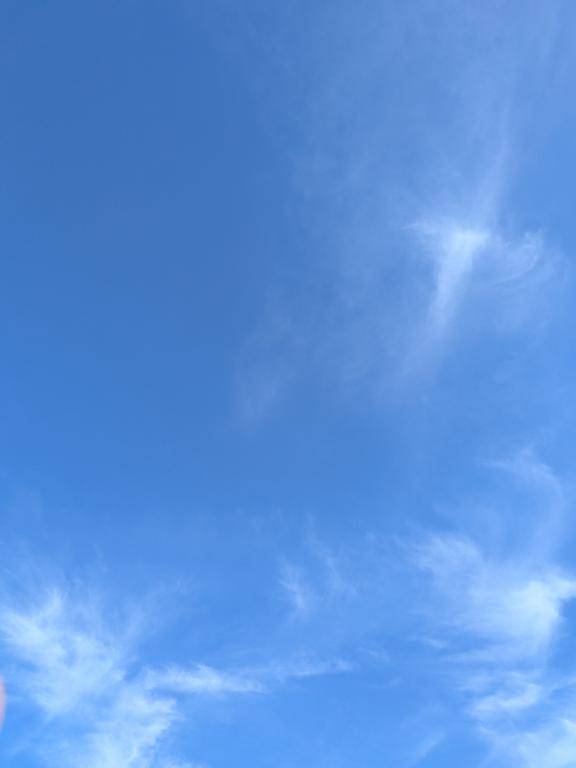 昨日はありがとう