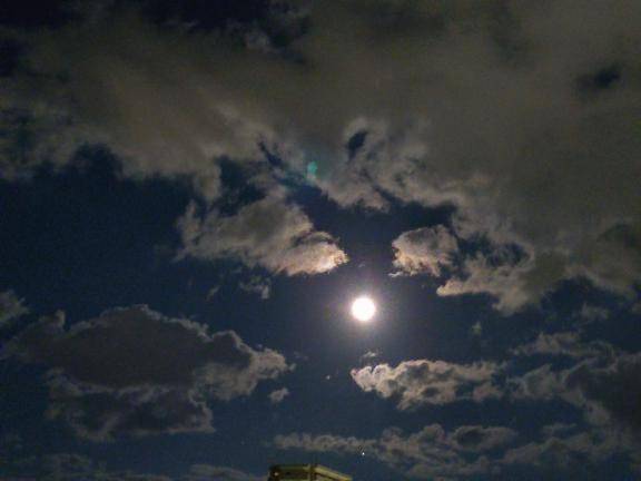 今夜は満月(*???*).｡.:*?