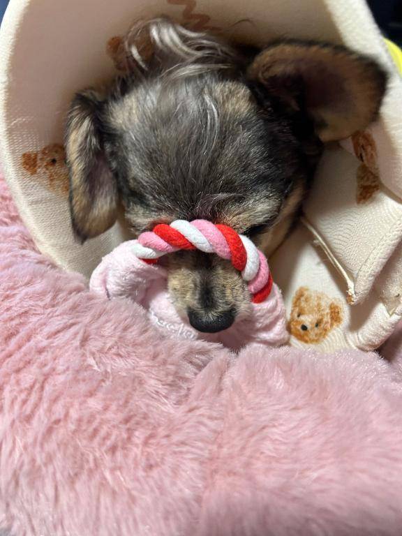 おはよ?今日は、、、