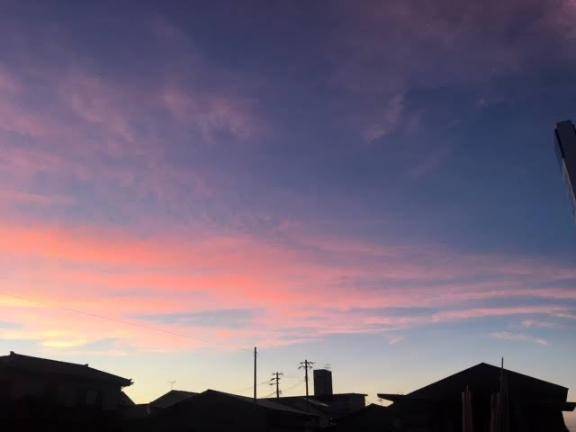 にゃんにゃん(?'ω'?)