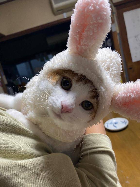 今日も(*'-'*)ﾉ"