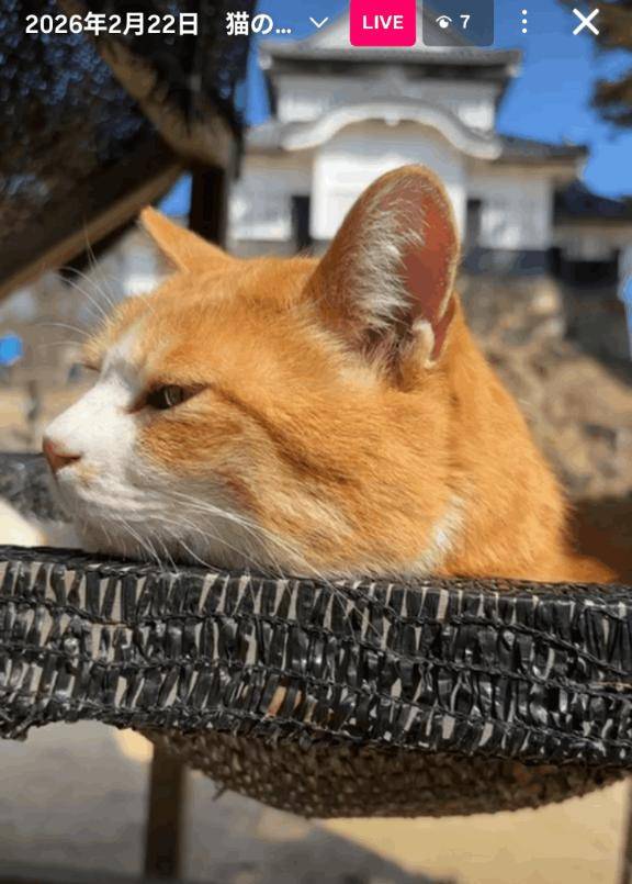 インスタライブ