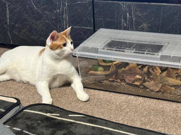 帰ってきました?