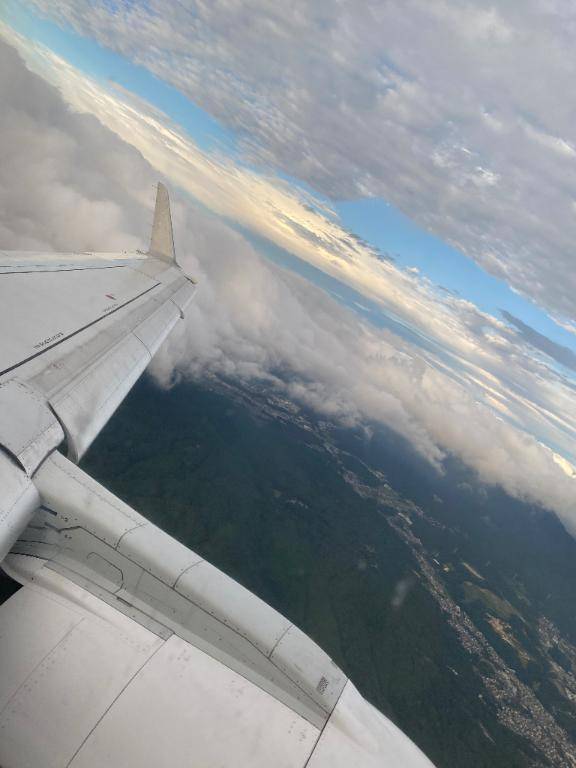 おはようございます??