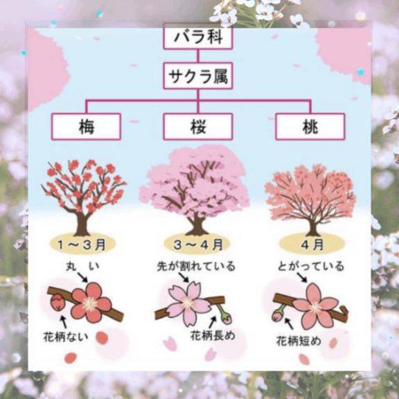 皆様はご存知でしたか？