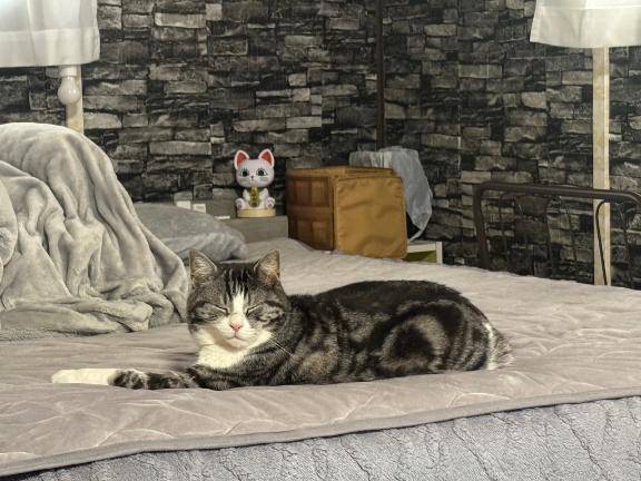 イった( ????????ω???????)