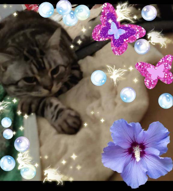 本日より…(???????????)