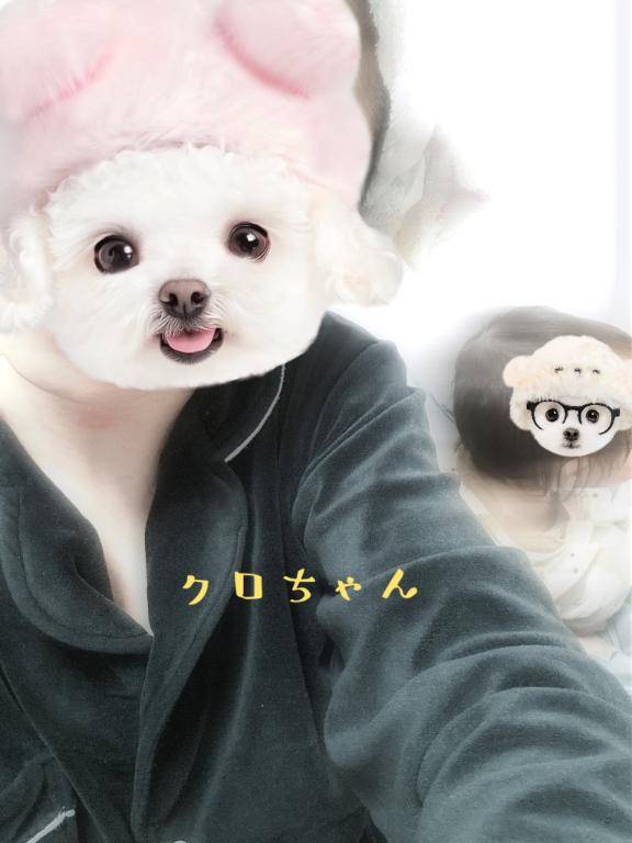 事前予約ありがと??