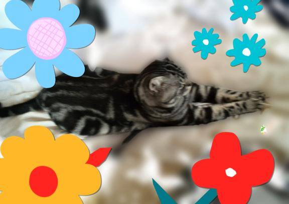 おはようございます(?????????)