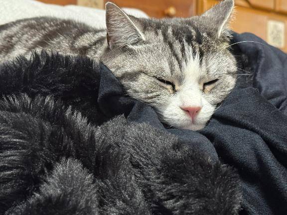 ごめんなさいm(._.)m