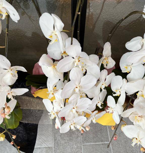 バスタイムの秘密?