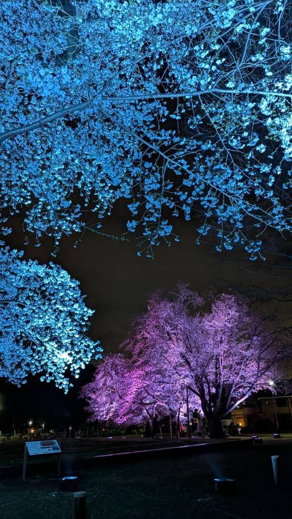 ありがとうです?