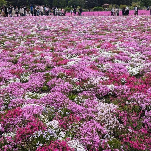 １日雨?ですね！?
