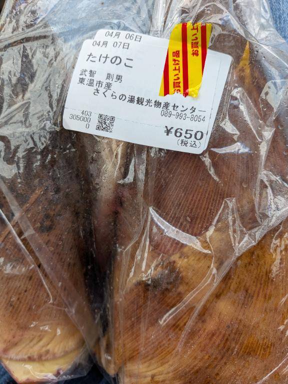 タケノコ