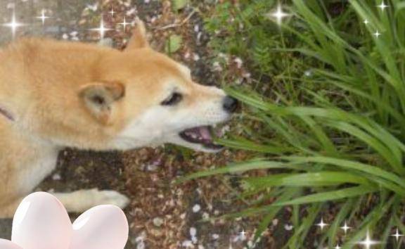 おとつい…(?≧?▽?≦?)