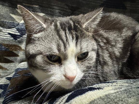 夜は会議です??♀?