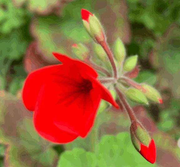 ウォーキング中に