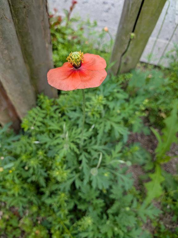 ウォーキング中に