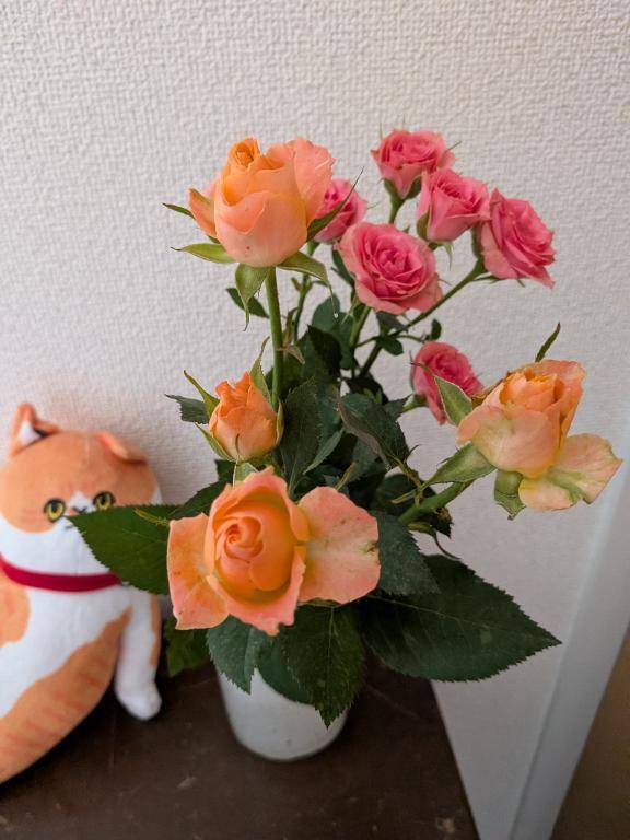薔薇