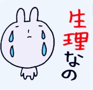 女の子の日