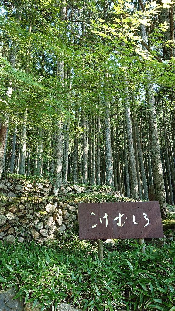 すっかり『夏』模様?