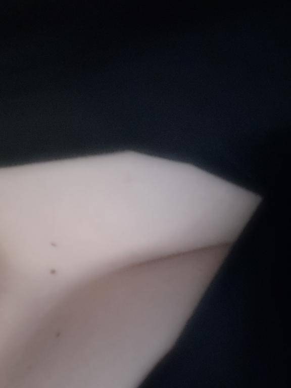 今日の服装?