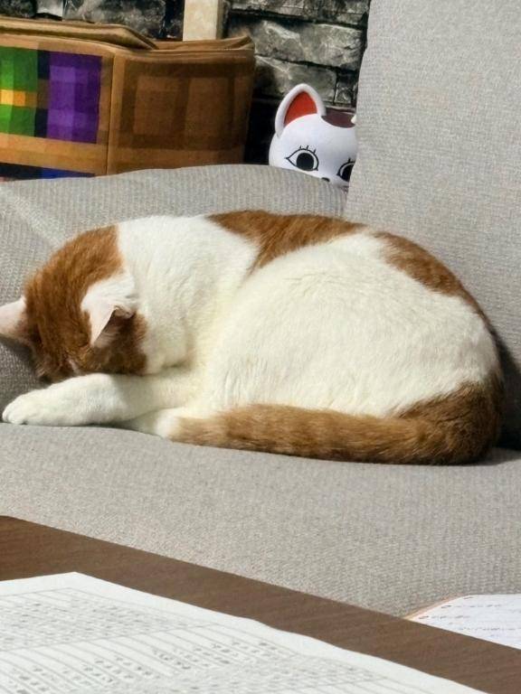 おいおい?