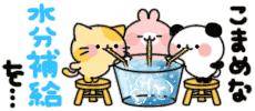 実はね( ´･ω･`)?